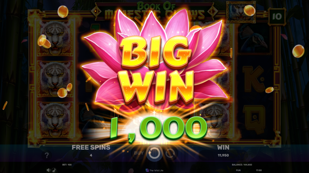 Big Win {altimage}